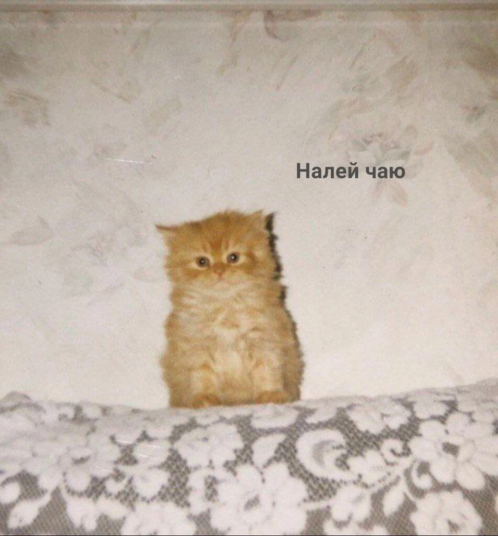 � ������ ����...