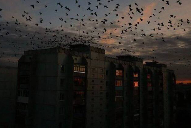 Вечерний город