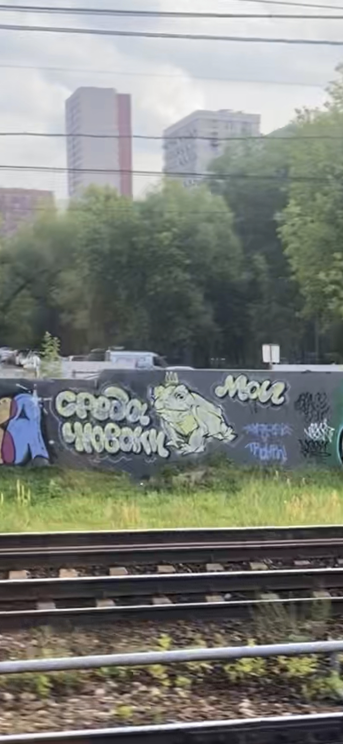 Среда и граффити