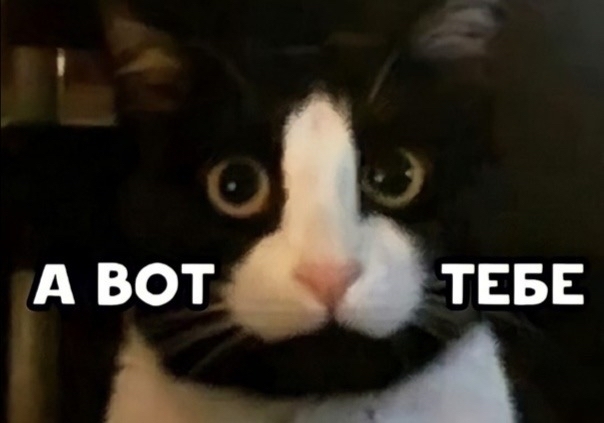  KoHb.BIIaJIbT0     (- )