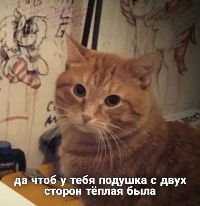 � ����� �������, ���� ������ �� ���������