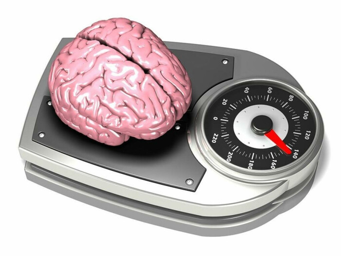 �������� ��� ������������