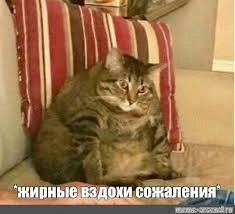 Когда сорвался на диете