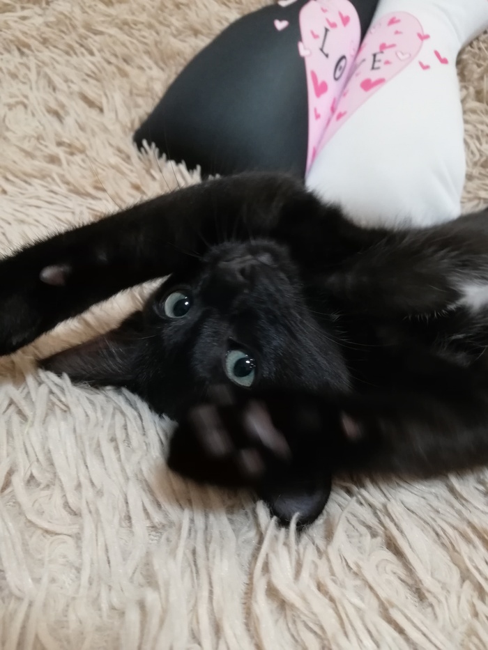  ! :) , , ,  ,  ,  