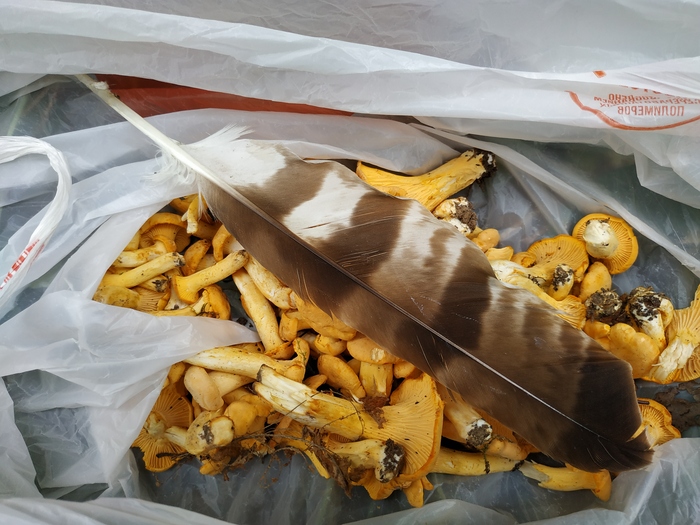 ������ ������ ������ �� ��� ����!