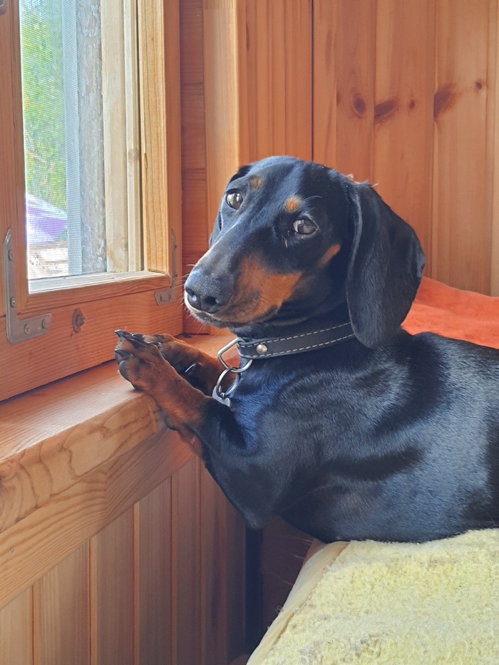 День рождения