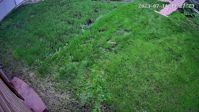 Фотозагадка