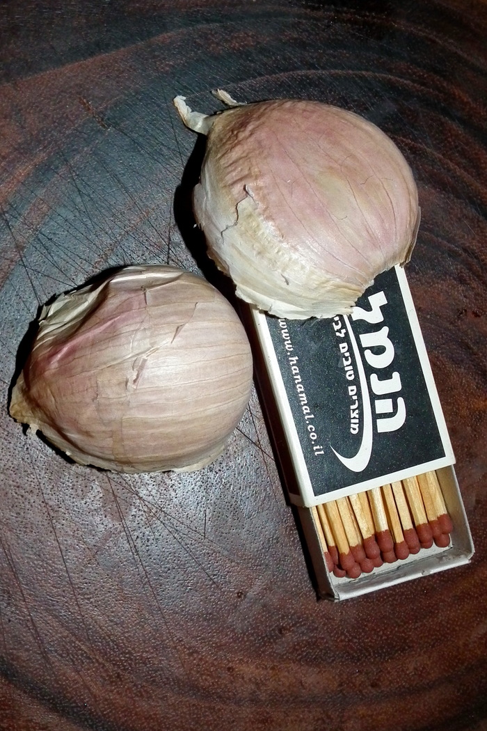 ��� ��� �� ������������