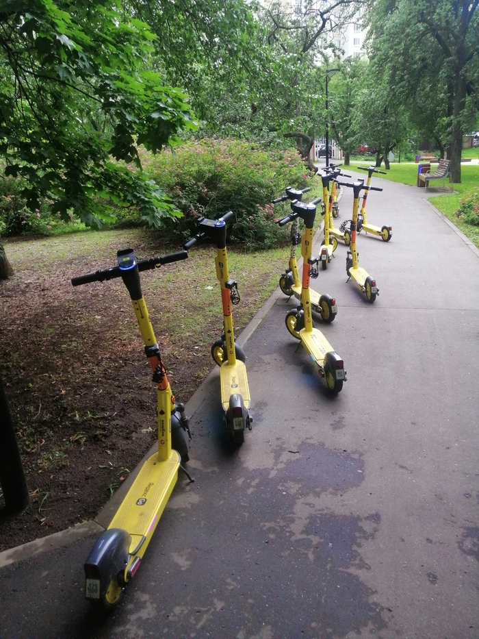 Парковка самокатов в парке | Пикабу