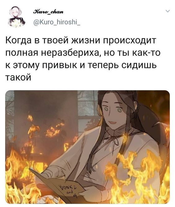    , , X (Twitter),  ,  