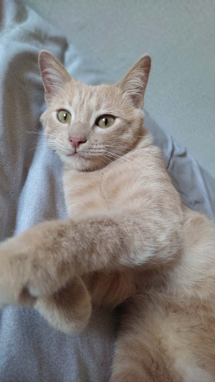 ������ ���