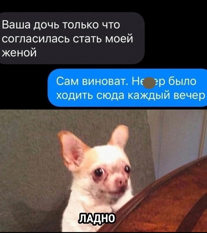 Вот так | Пикабу