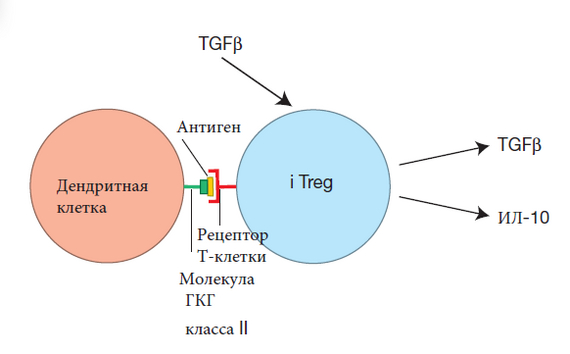 ��� �������� �������� �������, ������ 8 �. 1 (�. 76)