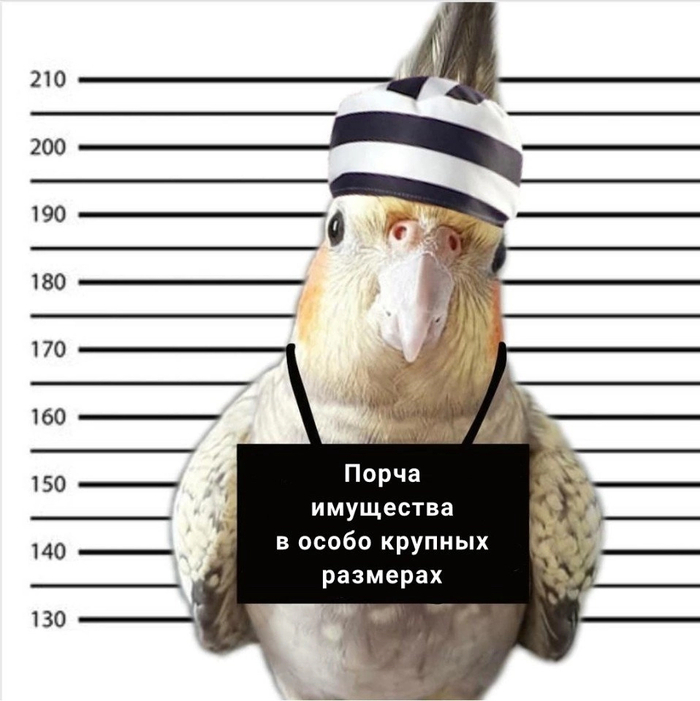 Криминальный авторитет | Пикабу