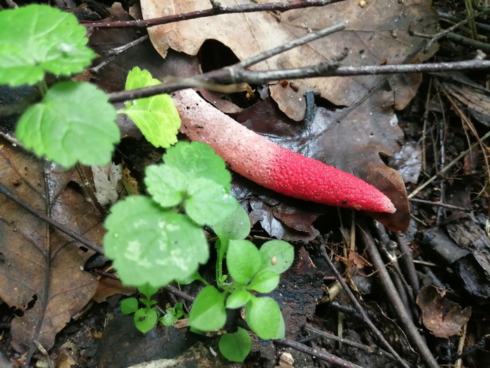   ,  ,  , ,  , 