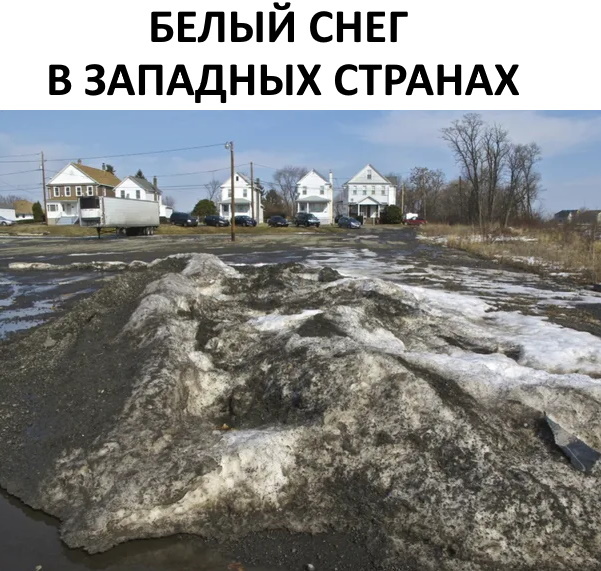 Снег | Пикабу