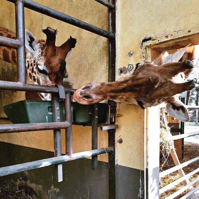 � �� ��� ���� ������?! � �����?!