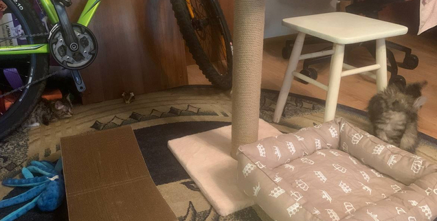 Гуманитарная помощь