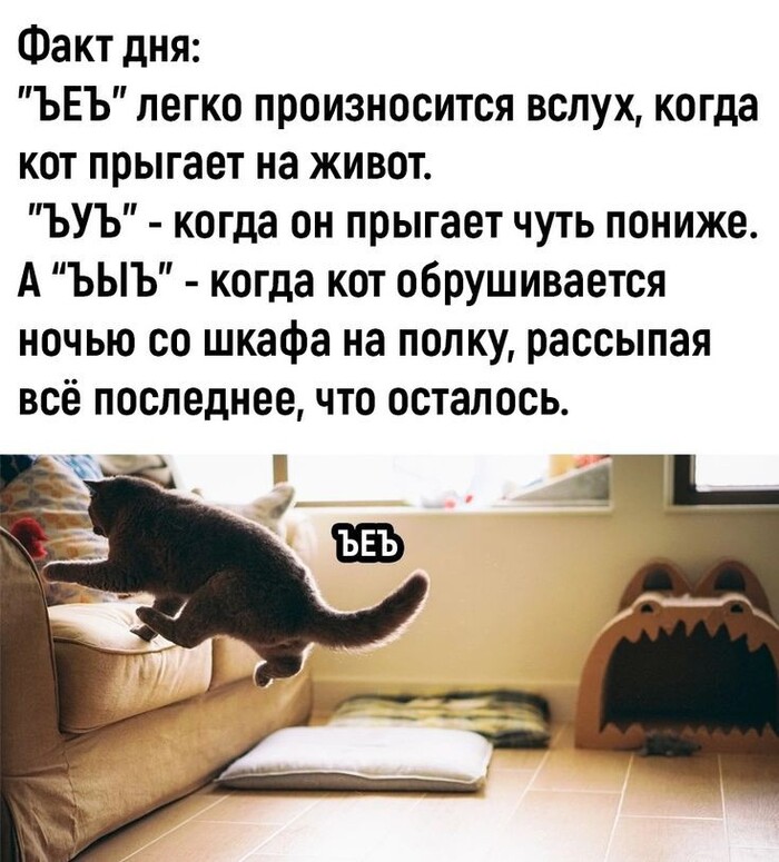      , , 