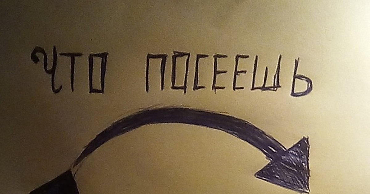 Что посеешь то и пожнешь | Пикабу