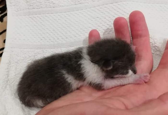 ���������: ������ ���� �������� ����� ��� ����� ������!