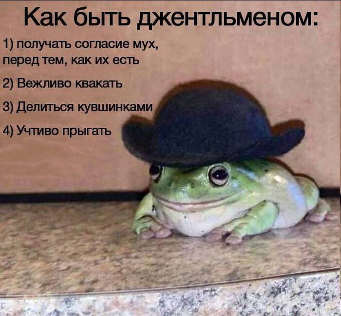 It's wednesday my gentlemen