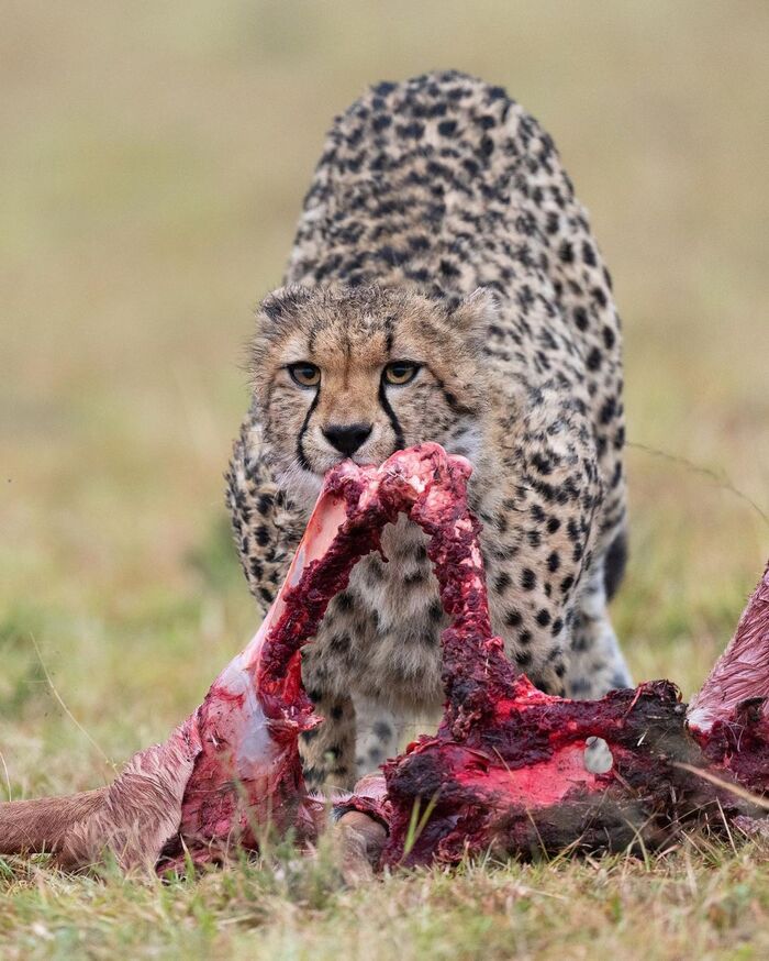 Приятного аппетита!