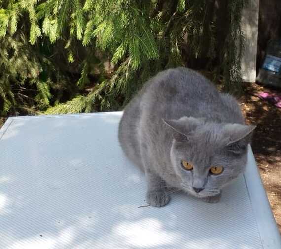 История предательства и надежды!