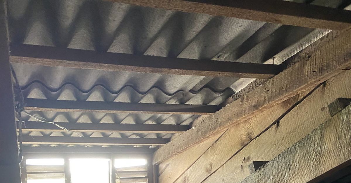 Натуральная теплоизоляция чердака из голубиного помёта | Пикабу