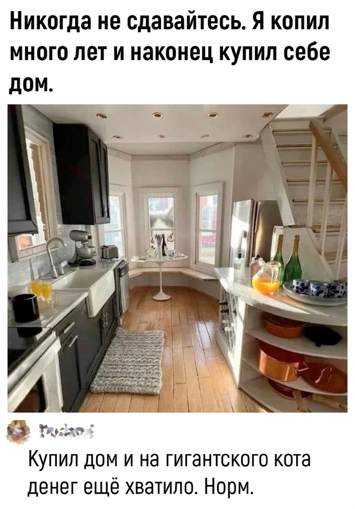  ,   , , , 