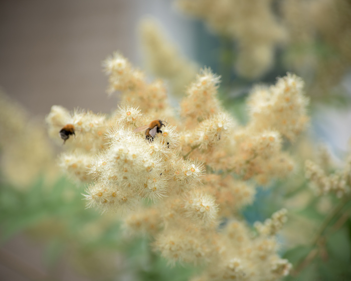 �������� ���