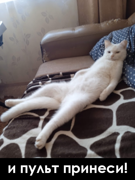 � �? � ������ ������ �� ����, �� ���� �� �� �������!