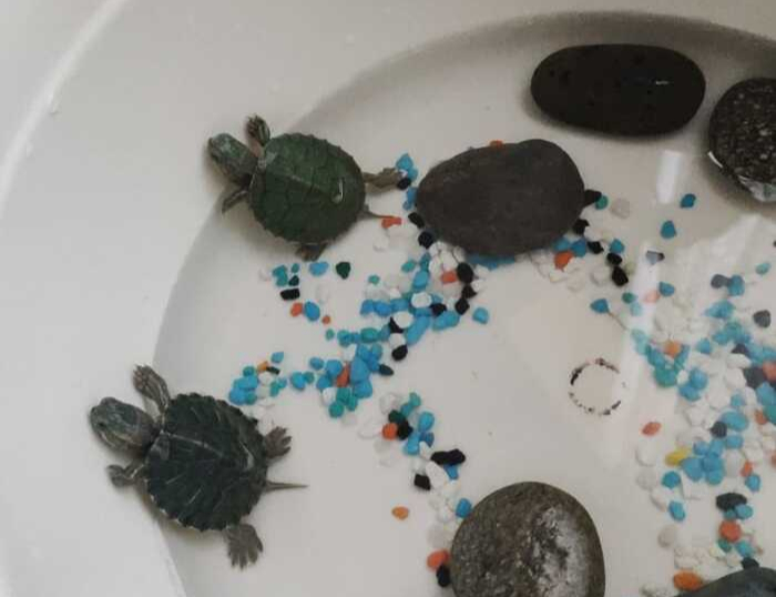 ��� ������ ������ �������, ����� �����!)