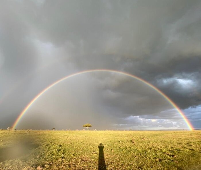Радуга в Масаи Мара | Пикабу