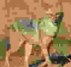   , , 