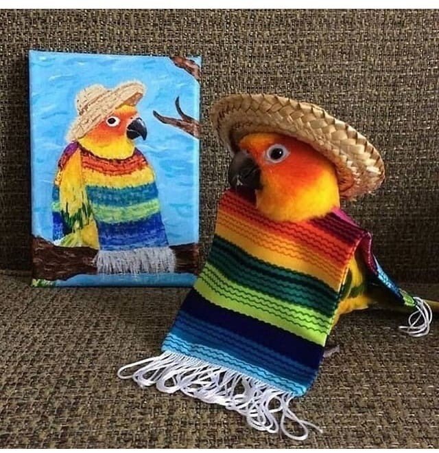 Заказчик доволен