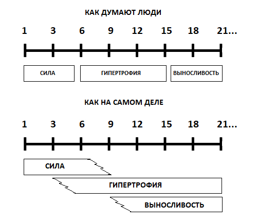 Сколько делать повторений на массу