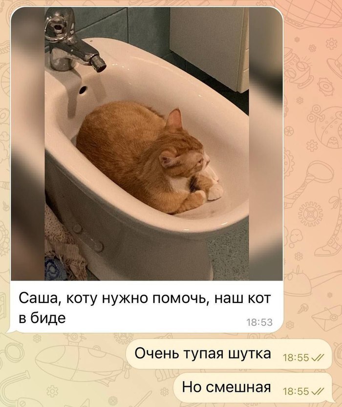    , , , , ,  (), , , 