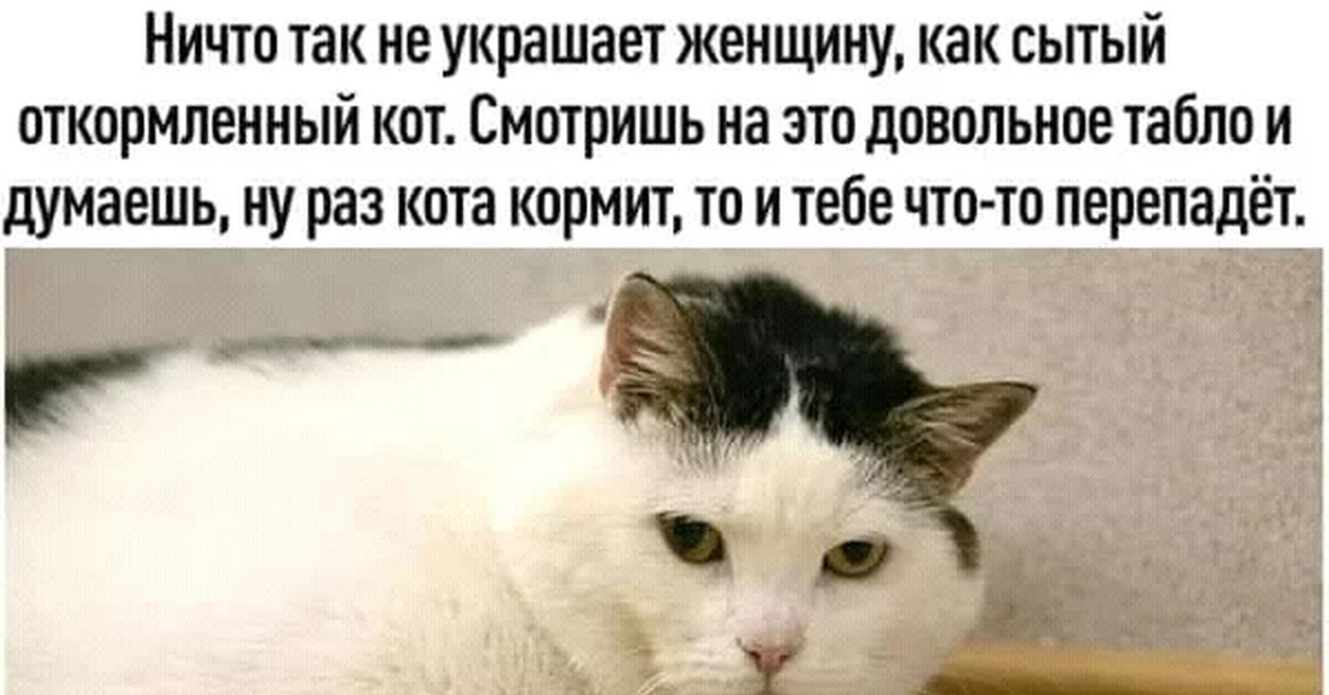 Не Лезь В Нашу Семью Картинки