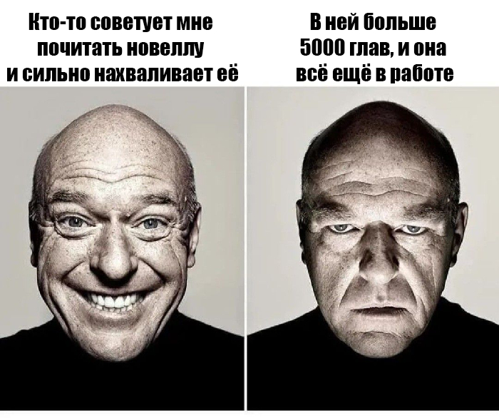 Это, несомненно, ловушка, но я вынужден влезть в неё