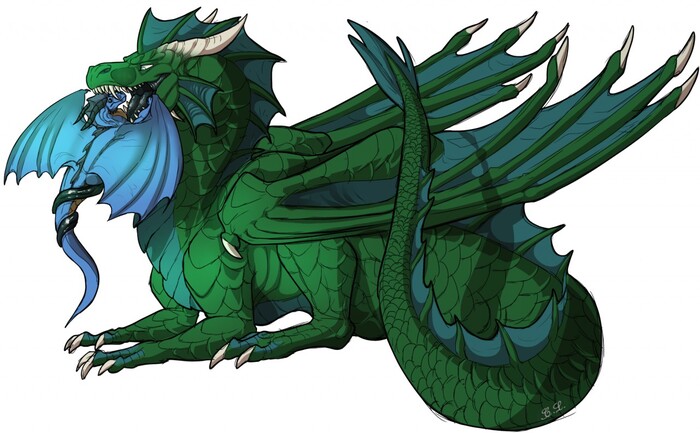 Стоматолог за работой