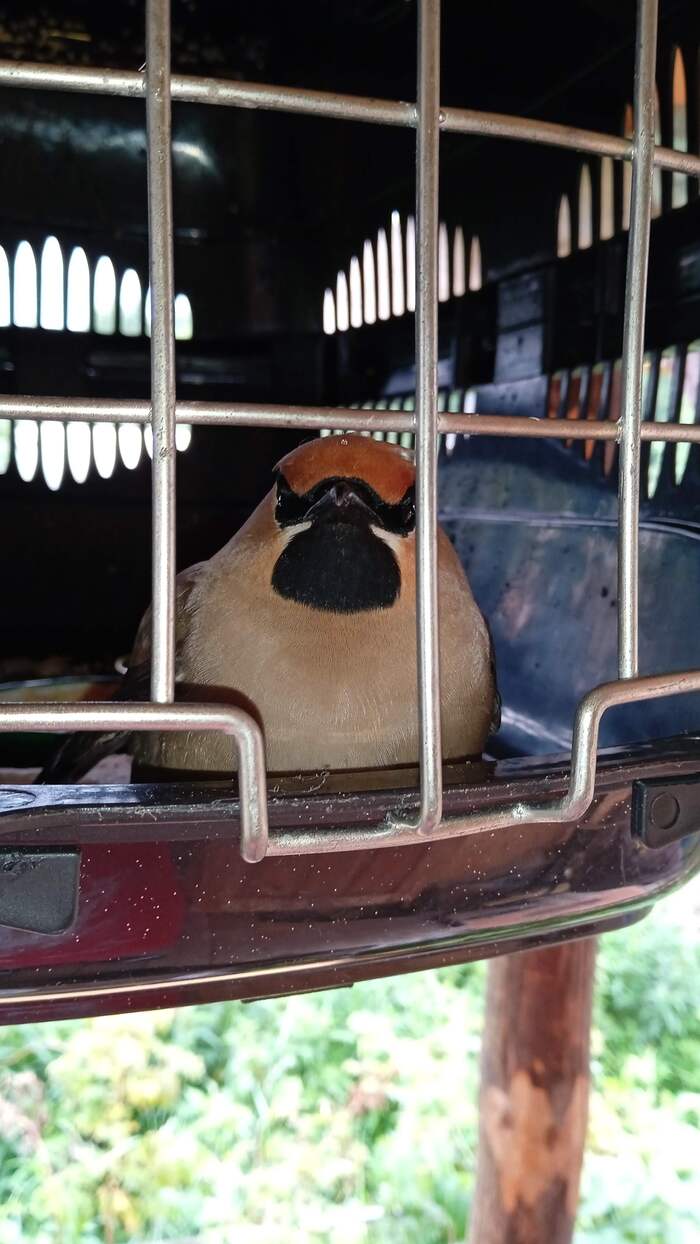   ! , ,  , ,  
