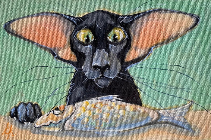 "���� ���� �����"