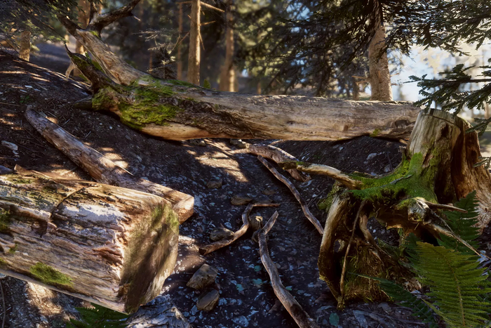   Mountain Forest Trunks and Roots  Asset Store Unity , , Gamedev, Unity, Unity3D, , , Asset store, , , 