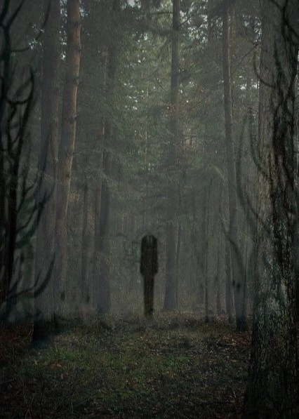 I need people who know about Slenderman. Contact me Slenderman, Legends
