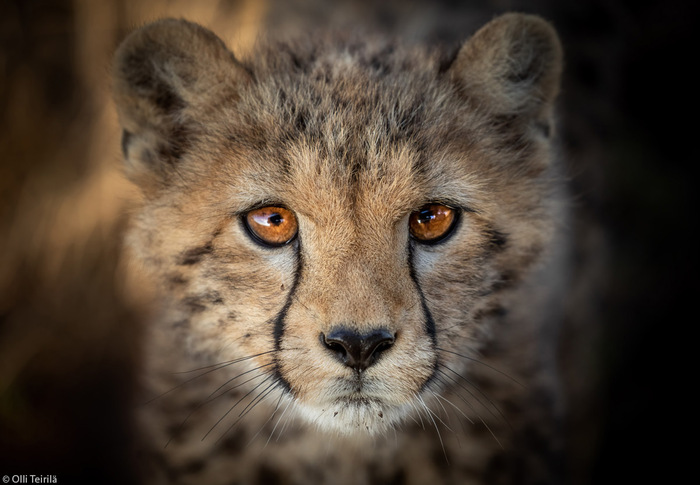 Взгляд в упор