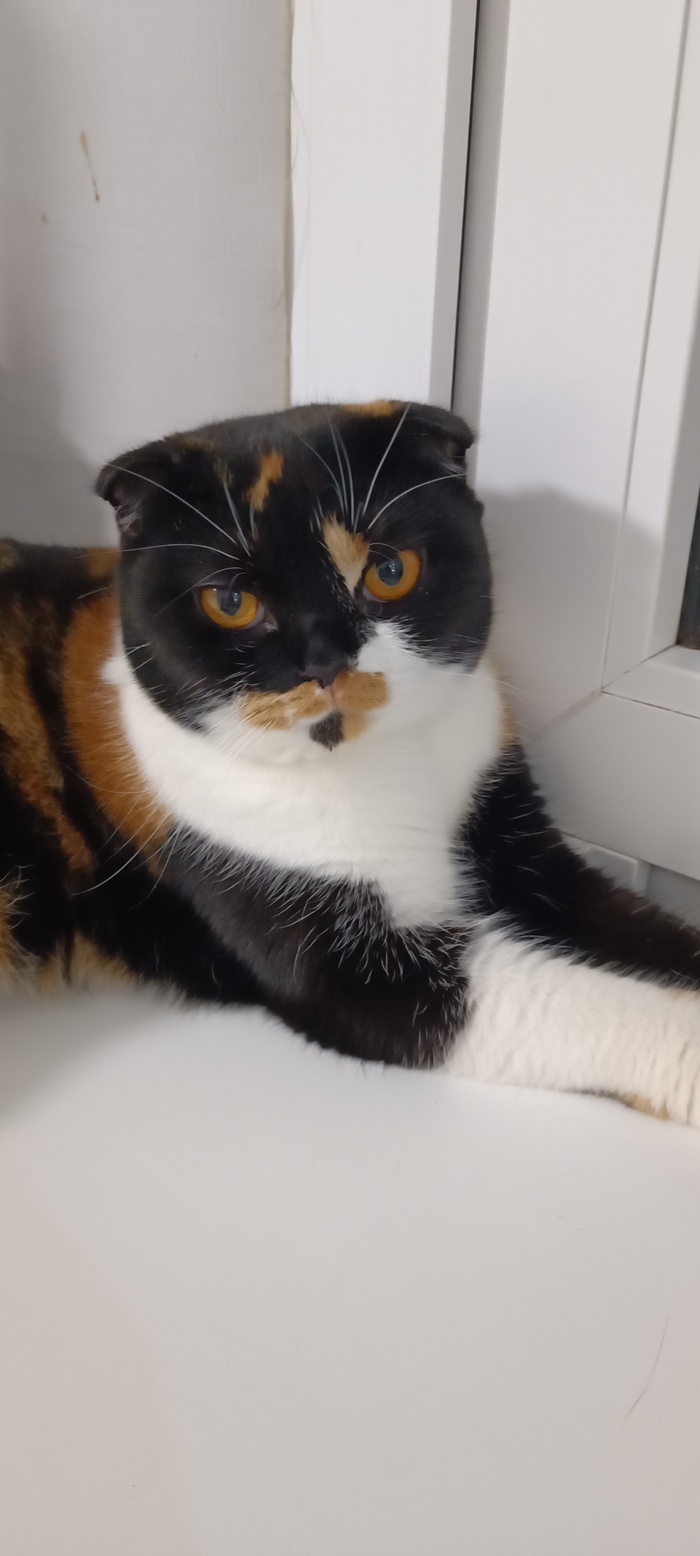   !  , , , ,   ,  , 