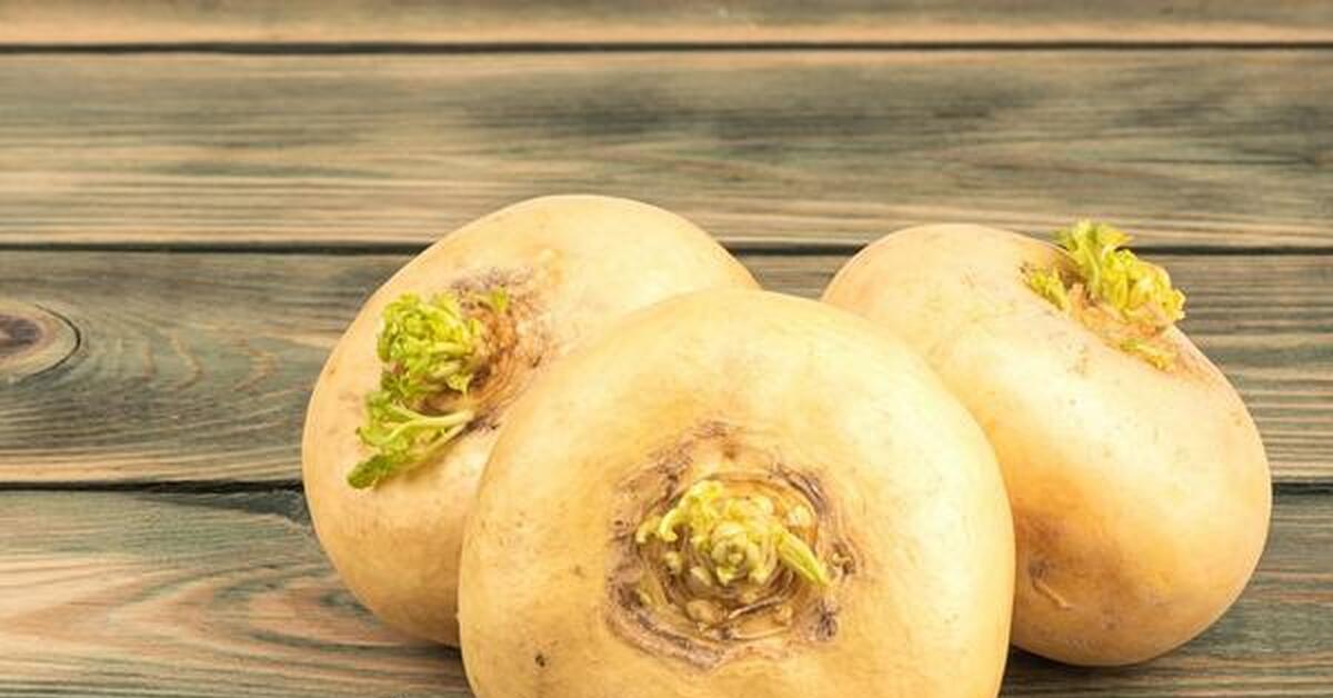 Репа с медом. Чем полезна репка для организма человека. Полезные вещества репы. Репа на руси. Чем полезна репа и что из нее можно приготовить.