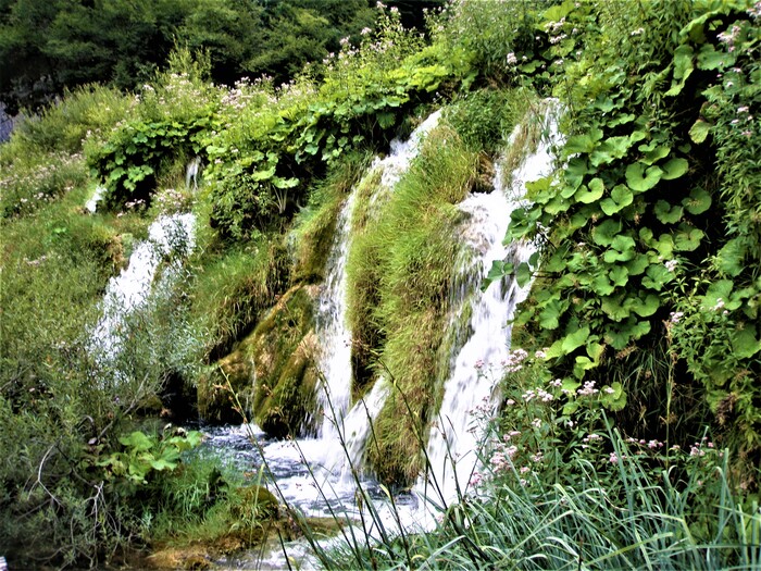 Тот же ручей но в профиль