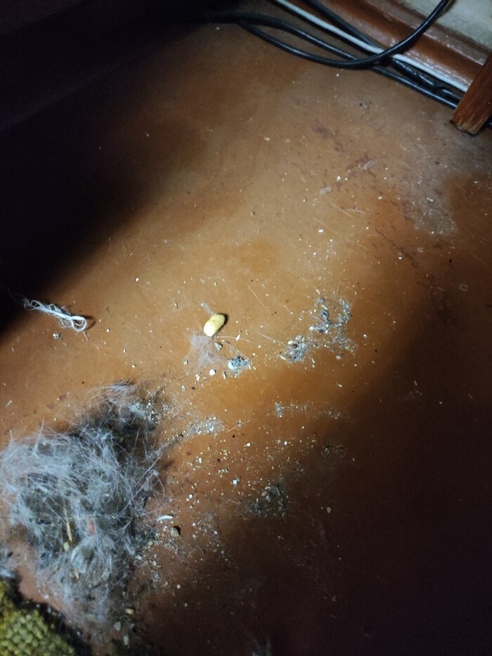 Ответ на пост «Обновление: счетчик плюсов»